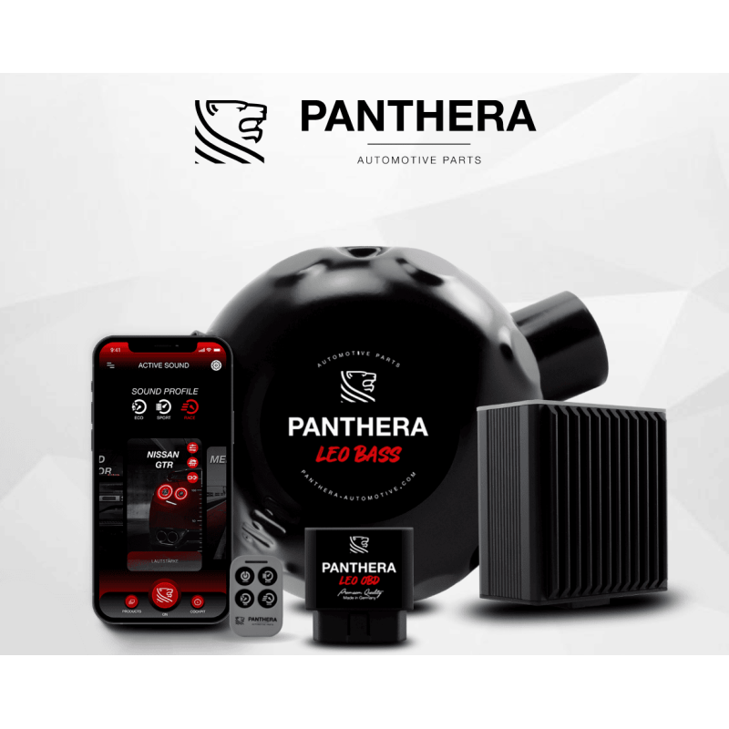 Active Sound System PANTHERA LEO ASC 7.0 (1 générateur)