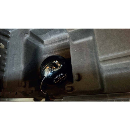 Active Sound System PANTHERA LEO ASC 7.2 (2 générateurs)
