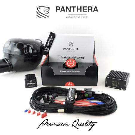 Active Sound System PANTHERA LEO ASC 7.1 (1 générateur + BOOST)