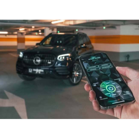 Active Sound System PANTHERA LEO ASC 7.1 (1 générateur + BOOST)