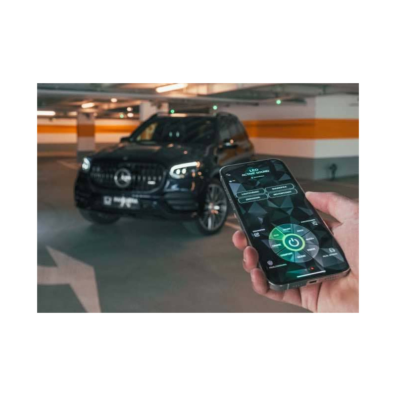 Active Sound System PANTHERA LEO ASC 7.1 (1 générateur + BOOST)