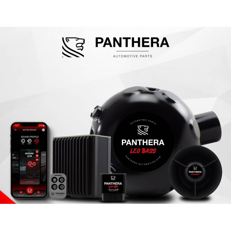 Active Sound System PANTHERA LEO ASC 7.1 (1 générateur + BOOST)