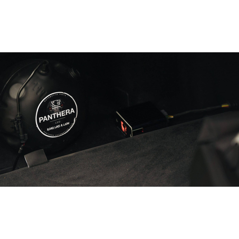 Active Sound System PANTHERA LEO ASC 7.3 (2 générateurs + BOOST)