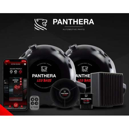 Active Sound System PANTHERA LEO ASC 7.3 (2 générateurs + BOOST) Active Sound System PANTHERA LEO ASC 7.3 (2 générateurs + BOOST)