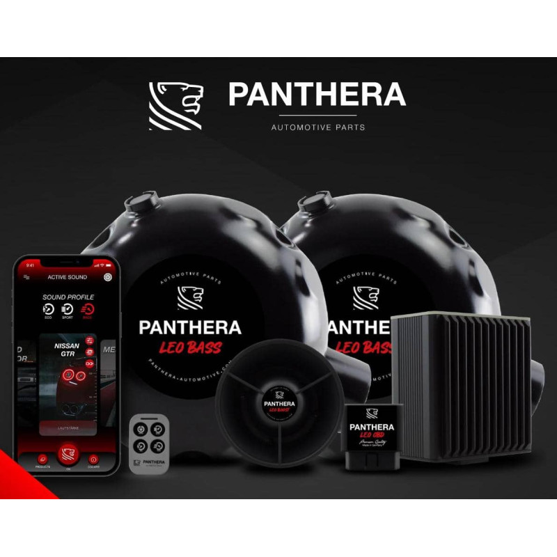 Active Sound System PANTHERA LEO ASC 7.3 (2 générateurs + BOOST)