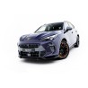 Kit carrosserie Maxton Design Cupra Terramar Mk1 (version avec attelage) V.4 (2024+) Kit carrosserie Maxton Design Cupra Terramar Mk1 (version avec attelage) V.4 (2024+)