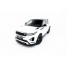 Kit carrosserie Maxton Design Land Rover Range Rover Evoque Dynamic Mk2 (2018-2023) Kit carrosserie Maxton Design Land Rover Range Rover Evoque Dynamic Mk2 (2018-2023)