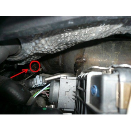 Filtre à particules RAGAZZON AUDI A5 typ 8T Coupè 3.0TDi V6 Quattro 239ch (06/2007-2012) (Race)